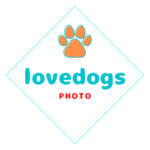 Instagram lovedogs_photo